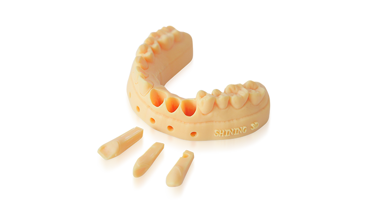 Dental-Model