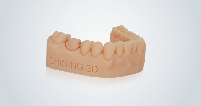 shining-dent-application01