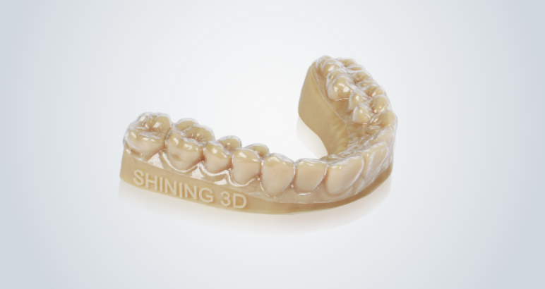 shining-dent-application01