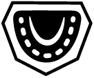 Modelli wax-up