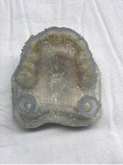 12-tuya-1