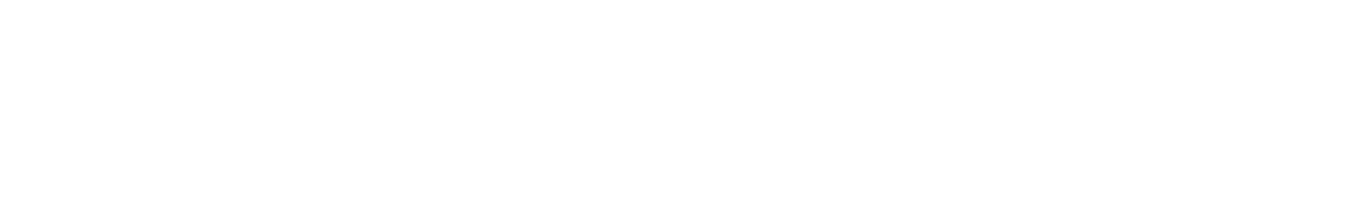 Logo feniqx white1